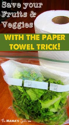 
                    
                        Save your Fruits and Veggies with the Paper Towel Trick
                    
                