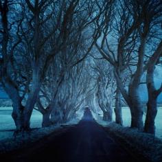 
                    
                        dark hedges IR
                    
                