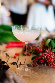 
                    
                        winter's' blush cocktail
                    
                