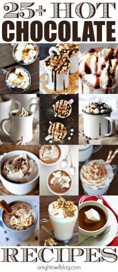 
                    
                        25 Hot Chocolate Recipes - Pumpkin, Peppermint and MORE at anightowlblog.com
                    
                