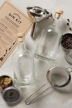 
                    
                        The Homemade Gin Kit
                    
                