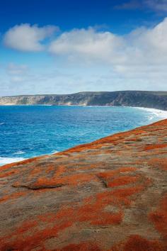 
                    
                        With its bounty of endemic flora and fauna, Kangaroo Island, about 180 miles southwest of Adelaide, is the Australian equivalent of the Galápagos—here, the island’s Flinders Chase National Park.
                    
                