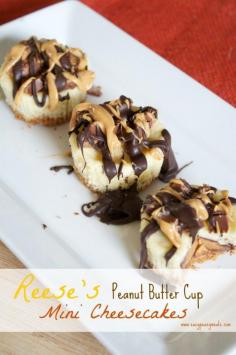 
                    
                        Reese's Peanut Butter Cup Mini Cheesecakes basically HEAVEN, because it is peanut butter, chocolate, and cheesecake, the best combo EVER! - Eazy Peazy Mealz
                    
                