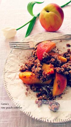 
                    
                        'Raw Peach Cobbler' Gena Hamshaw's "Choosing Raw: making Raw Foods part of the way you eat"
                    
                