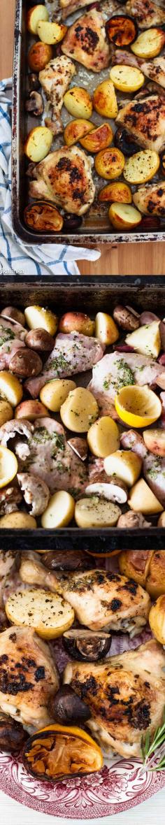 Lemon rosemary chicken