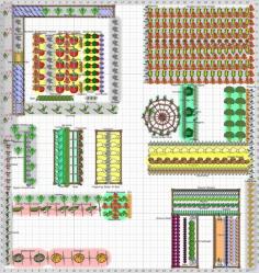 
                    
                        Full companion garden with raised beds, flower and herb borders.
                    
                