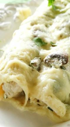 
                    
                        Chicken, Mushroom, and Spinach Enchiladas ~ Creamy enchiladas topped with a cilantro sour cream sauce... This dish is company worthy!
                    
                