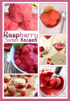 
                    
                        raspberry sorbet recipes
                    
                