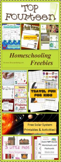 
                    
                        Top 14 Awesome Homeschooling Freebies
                    
                