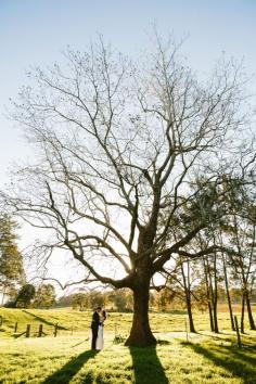 
                    
                        Mindaribba House Wedding Hunter Valley. Image: Cavanagh Photography cavanaghphotograp...
                    
                