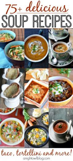 
                    
                        75+ Delicious Soup Recipes - Such a great list of soups, perfect for this time of year!
                    
                