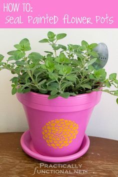 
                    
                        Painted flower pots are so cute, but don't forget to seal them so that the water doesn't ruin your gorgeous paint job! This super simple tutorial will show you how!
                    
                