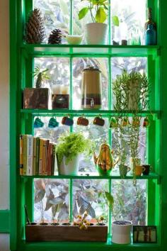 
                    
                        6 Sun-Filled Kitchens with Greenhouse Windows
                    
                