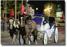 
                    
                        Horse and coach ride through the streets of Melbourne, Australia
                    
                