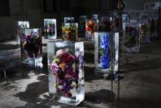 
                    
                        This Is What Happens When You Encase Flowers In Giant Cubes Of Ice
                    
                