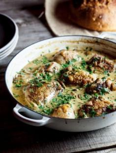 
                    
                        Chicken with White Wine, Bacon, and Mushroom Sauce
                    
                