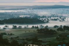 
                    
                        Morning mist in the Hunter Valley beautiful start to a daytime wedding. Hunter valley wedding photography. Image: Cavanagh Photography cavanaghphotograp...
                    
                