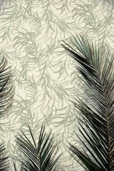 
                    
                        botanic garden wallpaper..
                    
                