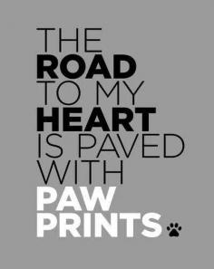 
                    
                        The Road to my heart is paved with paw prints #petquotes #dogfordog
                    
                