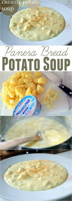 
                    
                        Copy Cat Panera Bread Potato Soup ~ Super simple, creamy and delicious...  It's a winner!
                    
                