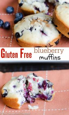 
                    
                        Gluten free blueberry muffins
                    
                