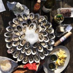 
                    
                        From the Gulf Coast to the Pacific, the freshest bivalves are being shucked at these oyster bars. Photo courtesy of aliciachofoto on Instagram.
                    
                