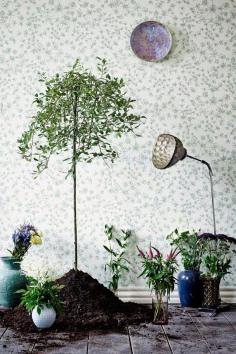 
                    
                        botanic garden wallpaper..
                    
                
