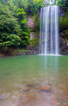 
                    
                        Millaa Millaa Falls - Things to do in Cairns, Australia
                    
                