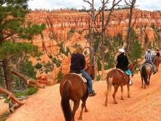 
                    
                        Horse riding in Bryce Canyon National Park, Utah, USA
                    
                