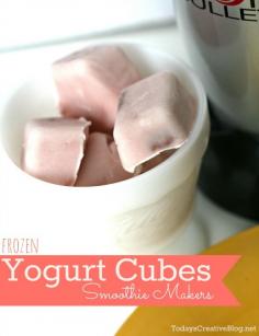 
                    
                        Freezing Yogurt cubes for Smoothies | TodaysCreativeblo...
                    
                
