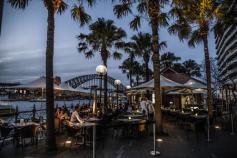 
                    
                        Oyster Bar , Sydney NSW
                    
                