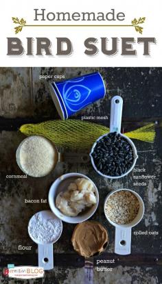 
                    
                        Homemade Bird Suet Recipe   TodaysCreativeBlo...
                    
                