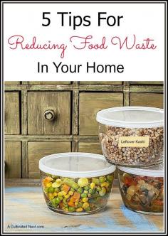 
                    
                        5 fantastic tips for reducing food waste in your home & as a result saving! Throwing away food is like throwing away money!
                    
                