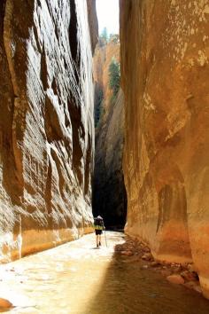 
                    
                        The Narrows, Zion National Park, Utah - USA
                    
                