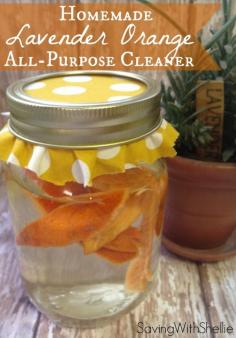 
                    
                        DIY All-Purpose Cleaner. All Natural. No Chemicals. The Orange and Lavender make everything smell so fresh and clean!
                    
                