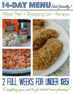 
                    
                        2 Week Meal Plan! These are some of our family favorite meals for easy dinner ideas!
                    
                