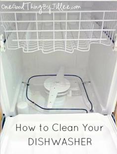 20+ Cleaning  Organization Tips » Little Inspiration