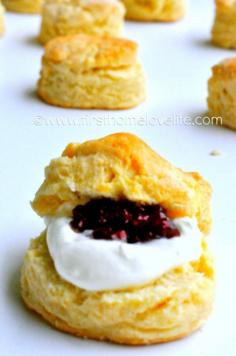 
                    
                        This simply delicious scone recipe is SO easy to make and a perfect starting off point for tons of variations! The most delicious scone recipe on the web!
                    
                