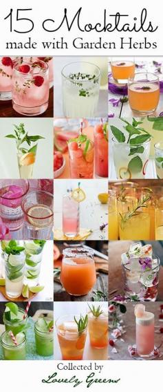 
                    
                        15 Mocktail Recipes made with Garden Herbs | Straight from the garden, this collection of delicious and refreshing drinks are alcohol-free alternatives to their boozier cousins #mocktail
                    
                