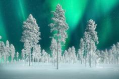 
                    
                        Northern Lights In Sweden
                    
                