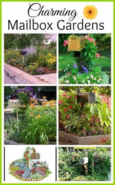 
                    
                        Thinking of selling your home? How about adding some curb appeal with one of these mailbox gardens?
                    
                