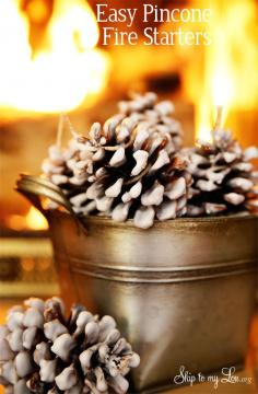 
                    
                        These easy pinecone fire starters make starting a fire a cinch! #yahoomakers
                    
                