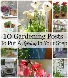 
                    
                        Lots of gardening inspiration for spring to get you in the mood for planting!
                    
                