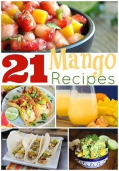 
                    
                        21 Mango Recipes - Salsas, Smoothies, Sauces, and More! - wearychef.com
                    
                
