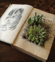 
                    
                        DIY Projects | Repurposed Crafts Made From Old Books & Cool Upcycling Ideas
                    
                