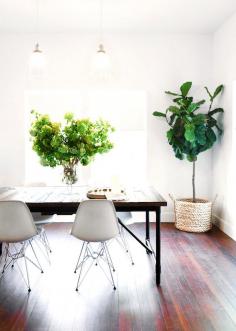 
                    
                        The fab light-filled studio of Camille Styles
                    
                