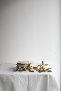 
                    
                        Citrus Cake | Photography and Styling by Sanda Vuckovic
                    
                
