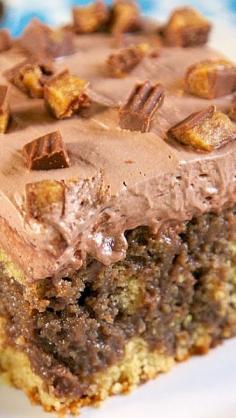 Chocolate Peanut Butter Poke Cake - easy recipe