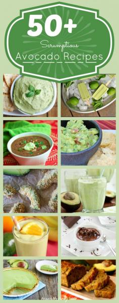
                    
                        Beyond Guacamole....50+ Scrumptious Avocado Recipes.  Who am I kidding?  Why don't I just have an I LOVE AVOCADO board? :)
                    
                