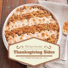 
                    
                        There's something for everyone in this special collection of Thanksgiving side dish recipes. Find familiar favorites, along with tempting new creations to try on your Thanksgiving menu.
                    
                